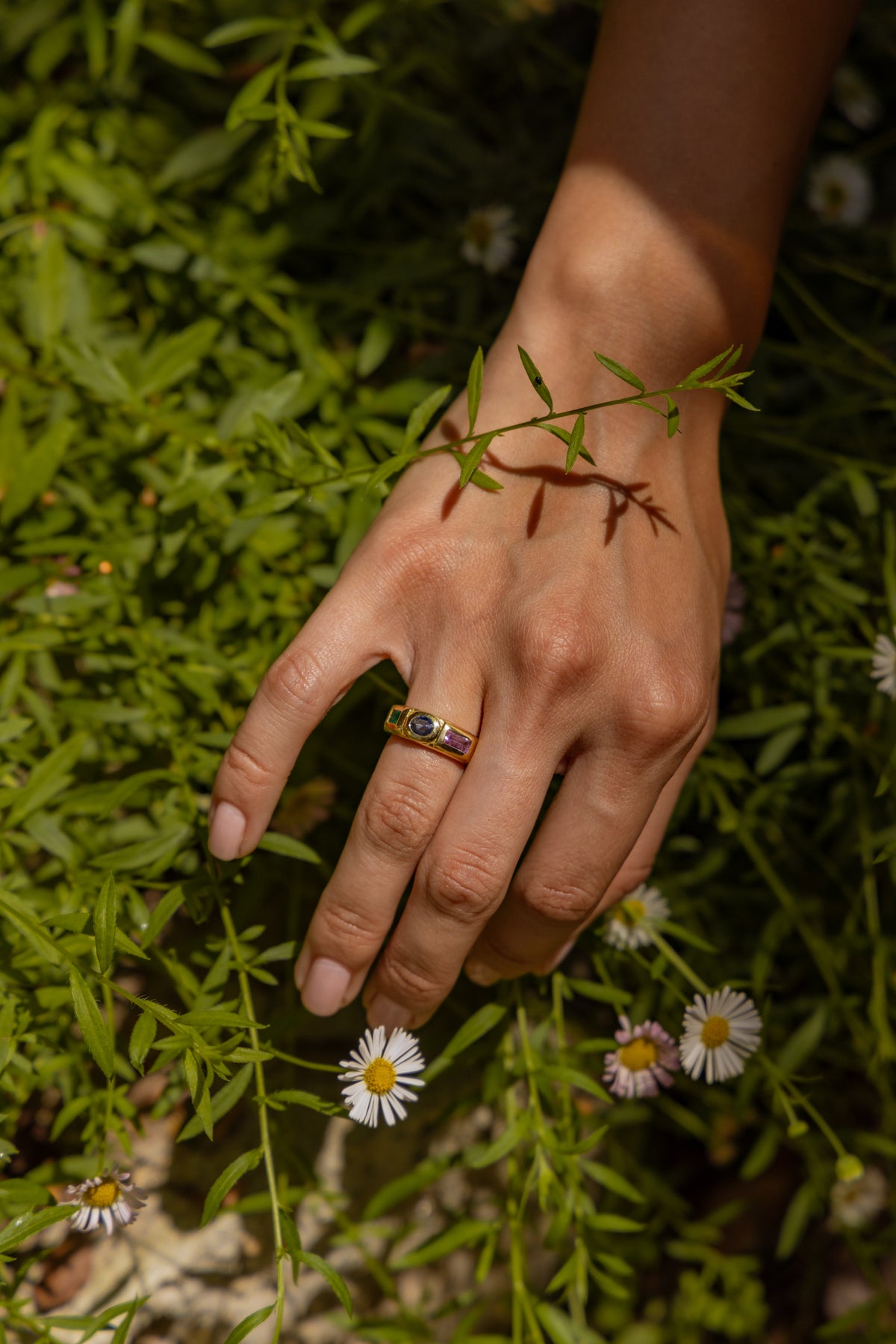 Jeweled Wide Band